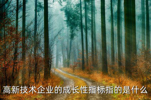公司成長性指標用什么，請問反映企業(yè)價值和企業(yè)成長性的指標有哪些