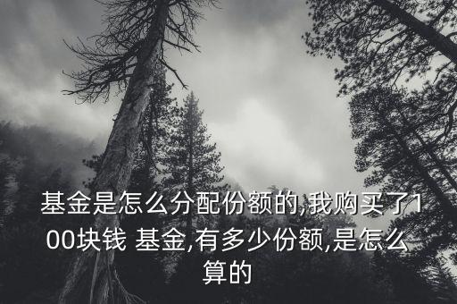  基金是怎么分配份額的,我購(gòu)買(mǎi)了100塊錢(qián) 基金,有多少份額,是怎么算的
