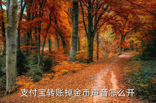 余額寶永不停彩怎么設置,支付寶余額寶可設置余額自動轉(zhuǎn)賬