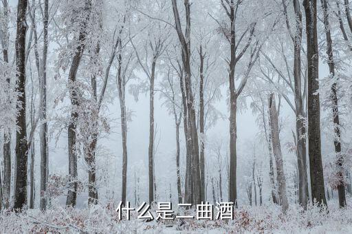 什么是二曲酒，什么是二曲酒