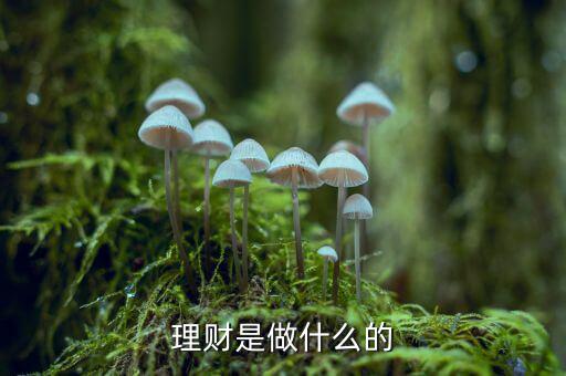 投資理財是做什么的，理財是做什么的