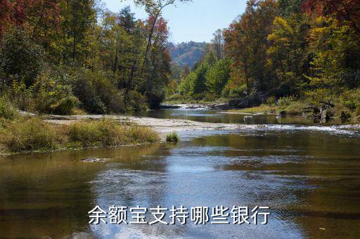 支付寶余額寶支持什么銀行卡，余額寶定期轉(zhuǎn)入支持什么銀行卡