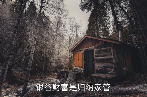 國家對銀谷財富是什么整策，銀谷財富是歸納家管