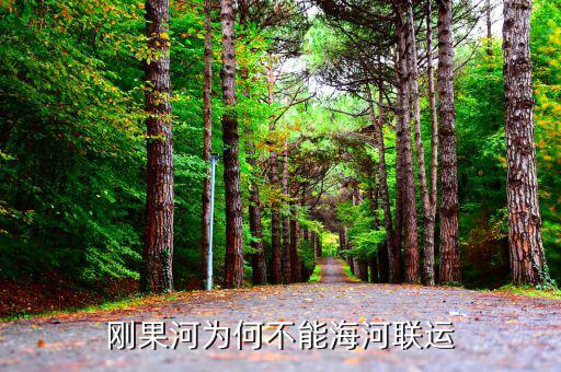 什么是海河聯(lián)運，歐洲西部多優(yōu)良港灣河流通航里程長可以實現(xiàn)海河聯(lián)運這句話是對的嗎