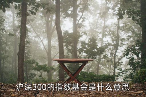 基金滬深300什么，滬深300的指數(shù)基金是什么意思