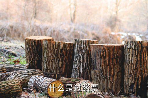 什么是過票行為，使用較消過的發(fā)票是什么行為