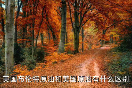布油與美國(guó)原油有什么不同，英國(guó)布倫特原油和美國(guó)原油有什么區(qū)別