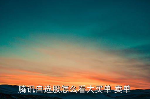 騰訊自選股怎么看大買(mǎi)單 賣單