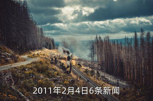 2月4日有什么新聞，2010年2月4日至2月20日新聞