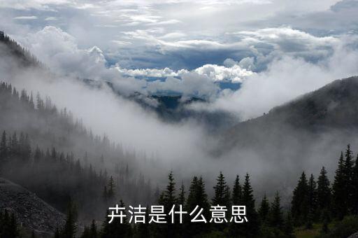 卉芳什么意思，卉潔是什么意思
