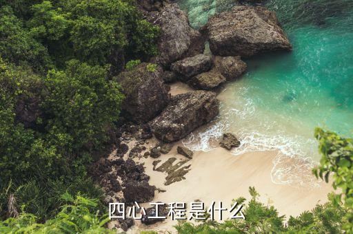 國航四心服務(wù)是什么，客運(yùn)服務(wù)人員作業(yè)通用標(biāo)準(zhǔn)中三要四心五主動(dòng)是如何規(guī)定的