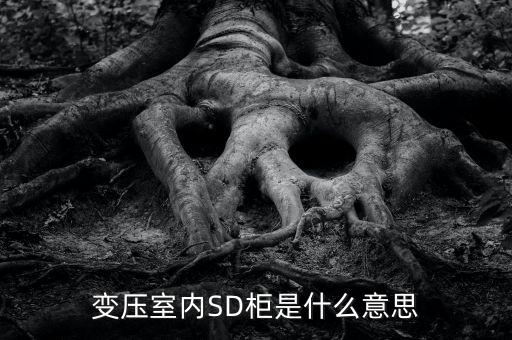授軍旗為什么在室內(nèi)，變壓室內(nèi)SD柜是什么意思