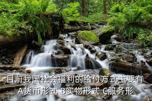 我國是什么福利型模式，目前我國社會福利的給付方式主要有 A貨幣形式 B實物形式 C服務(wù)形