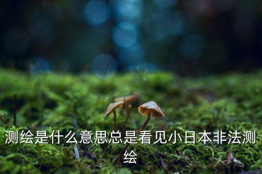 什么是非法測繪，測繪是什么意思總是看見小日本非法測繪