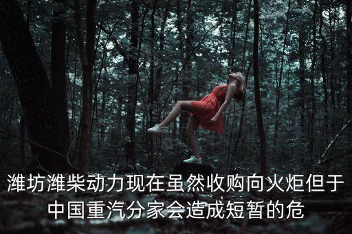 重汽為什么沒有濰柴了，中國重汽還有濰柴發(fā)動機嗎