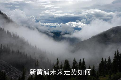 新黃浦有什么利好消息，600638新黃浦后期走勢如何