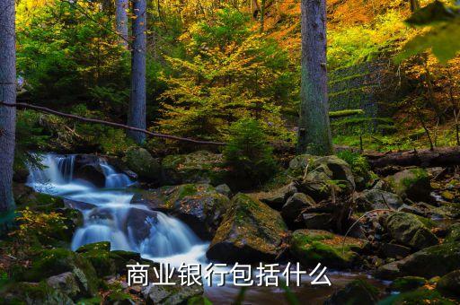 雨果獎是什么，商業(yè)銀行包括什么
