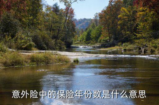 保險(xiǎn)數(shù)目指什么，意外險(xiǎn)中的保險(xiǎn)年份數(shù)是什么意思