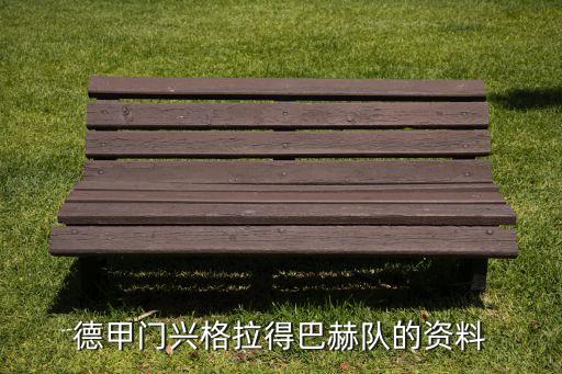 德國基爾希集團(tuán),基爾希集團(tuán)的經(jīng)驗與教訓(xùn)